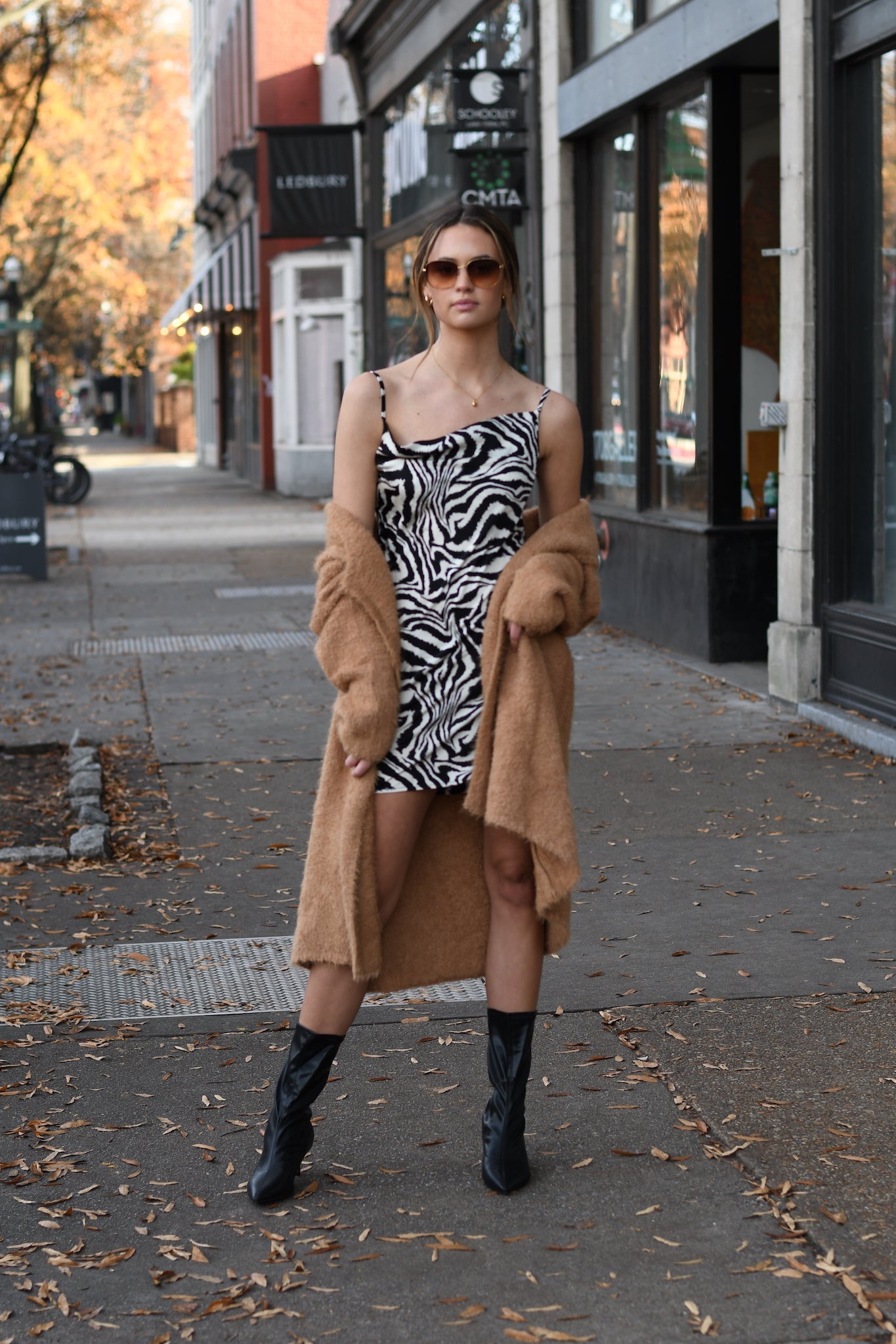 Zebra Print Mini Dress